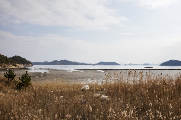 임자 삼봉끝 독살 3