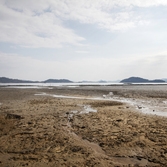 임자 삼봉끝 독살