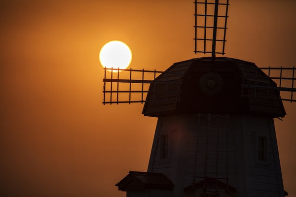 튤립공원일출 6