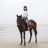 2018 광주 호남 미스 인터콘티넨탈 팸투어 대광해변승마체험