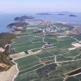 임자면 전장포대파