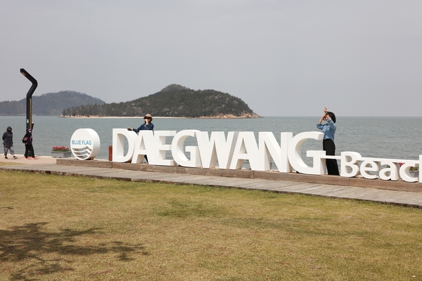 임자면 튤립 002 6