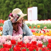 임자면 튤립홍매화정원 튤립축제