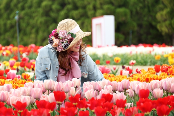 임자면 튤립홍매화정원 튤립축제 1