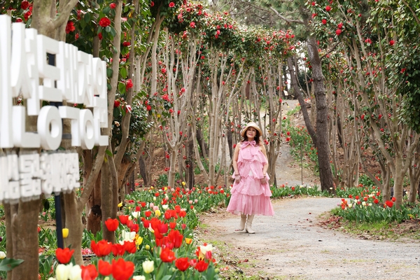 임자면 튤립홍매화정원 카네이션동백 002 1