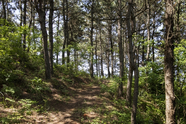 자은면 백길해변 002 2