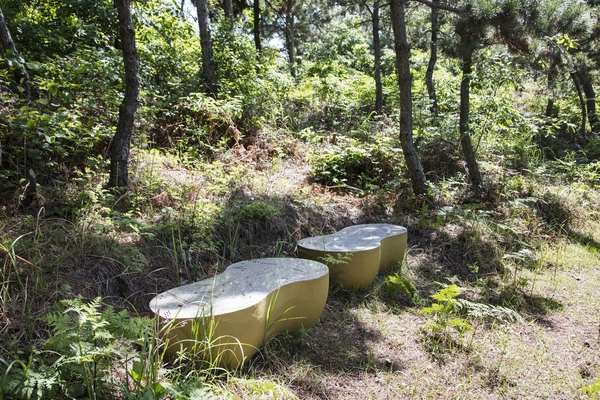 자은면 백길해변 002 3