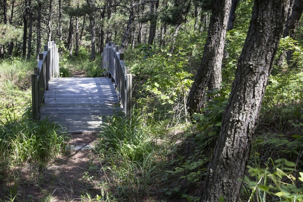 자은면 백길해변 002 1