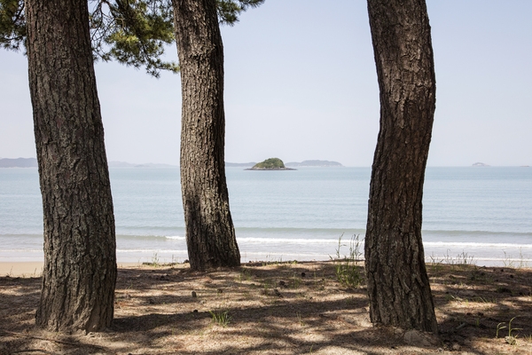 자은면 백길해변 003 6