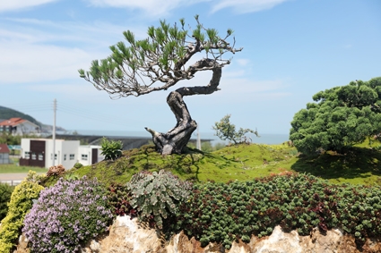 자은면 신안군자연휴양림 수석공원 4