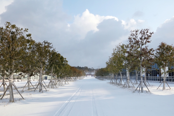 자은면 눈 오는 날 1004 뮤지엄파크 001 2