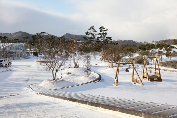 자은면 눈 오는 날 1004 뮤지엄파크 001 4