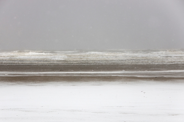 자은면 눈 오는 날 1004 뮤지엄파크 002 4