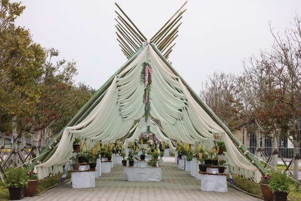 자은면 1004뮤지엄파크 새우란 001 2