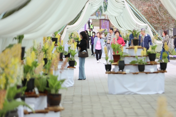 자은면 1004뮤지엄파크 새우란 001 3