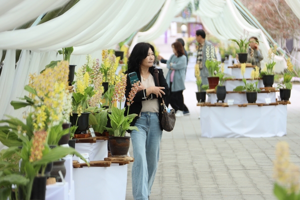 자은면 1004뮤지엄파크 새우란 001 4