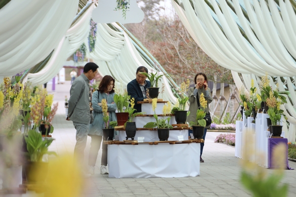 자은면 1004뮤지엄파크 새우란 001 5