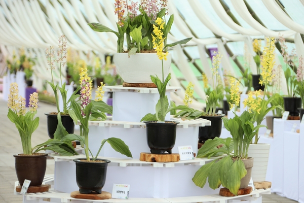 자은면 1004뮤지엄파크 새우란 001 6