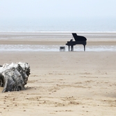 자은면 1004뮤지엄파크 양산해변 피아노