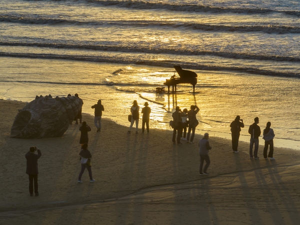 자은면 1004뮤지엄파크 양산해변 문화의 달 피아노 001 4