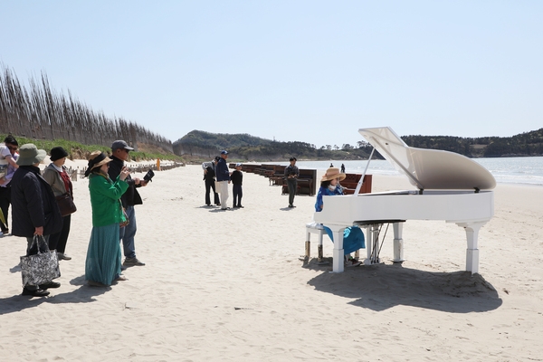 자은면 1004뮤지엄파크 피아노섬축제 001 3