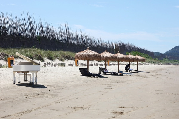 자은면 1004뮤지엄파크 양산해변 5