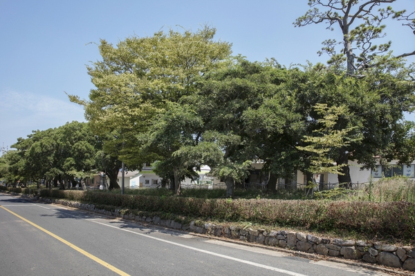 장산도 도창리 2