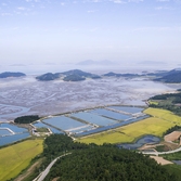 장산면 한새골장산갯벌