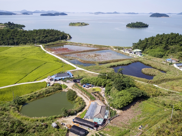 장산 막금도전경 5