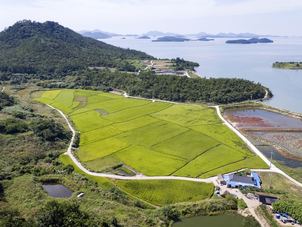 장산 막금도전경 6