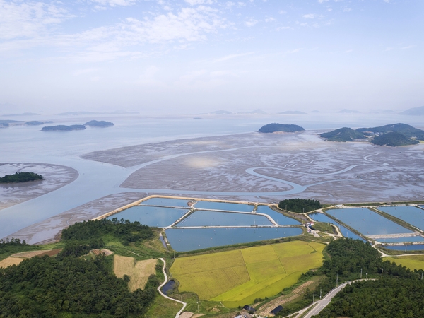 장산 가을전경 002 3