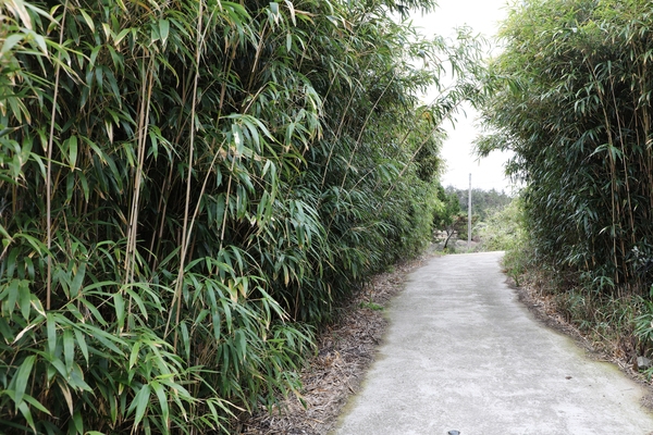 장산면 백야도 2