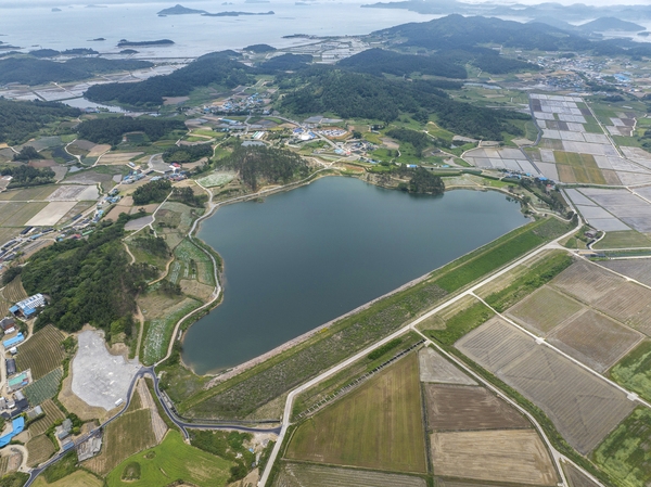 장산면 화이트정원 샤스타데이지 001 6