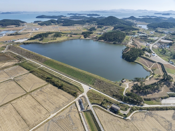 장산면 화이트정원 팜파스글라스 002 6