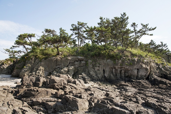 증도_독살체험장 6