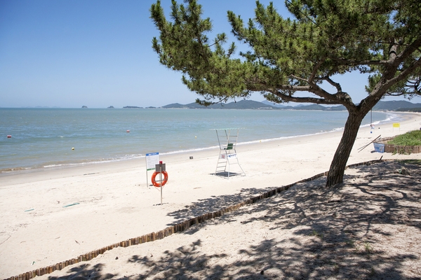 증도_우전해변 4