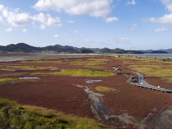 태평염전힐링캠프장및염태식물원 2