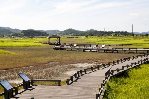 태평염전힐링캠프장및염태식물원 5