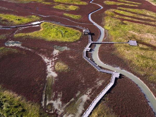 태평염전힐링캠프장및염태식물원 1