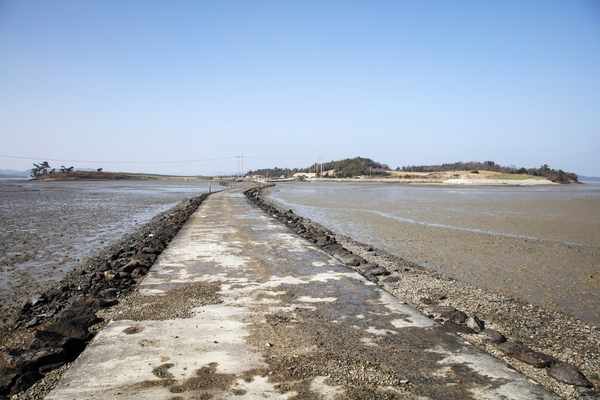 병풍도 신추도 노두길 2