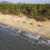 증도 엘도라도우전해변 비치파라솔