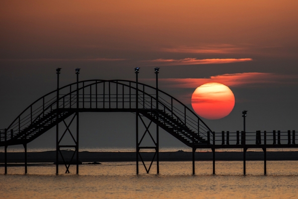 증도 짱뚱어다리일몰 5