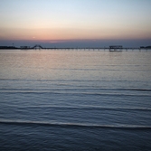 증도 짱뚱어다리일몰 001