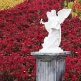 증도면 병풍도 002