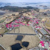 증도면 병풍도 002