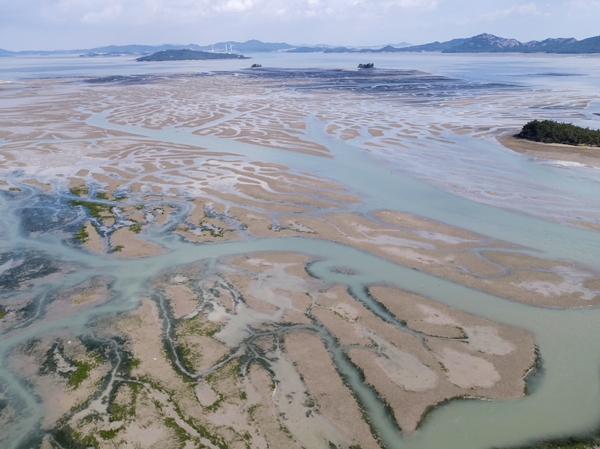 증도면 병풍도갯벌 5