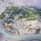 증도면 병풍도갯벌