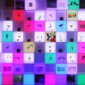 흑산도 신안철새박물관