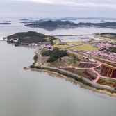 증도면 병풍도 맨드라미 003