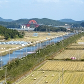 증도면 중동리 미세먼지차단숲